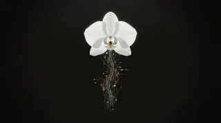 Orchid's viral 'fix your boyfriend' ad reveals how far AI agent startups will push into your personal life for attention