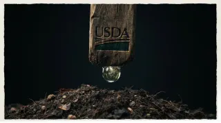 US formally moves to erase the Roadless Rule: 59 million acres opened to roads, drinking water for 47 million on the line